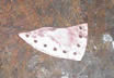 Knifemaking Nessmuk Style Knife