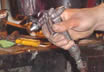 Knifemaking Nessmuk Style Knife