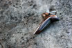 Mokume Shark Tooth Pendant