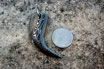 Stainless Damascus Big Bear Claw Pendant