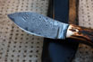 San Mai Damascus Nessmuk Project