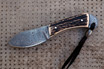 San Mai Damascus Nessmuk Project