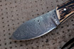 San Mai Damascus Nessmuk Project