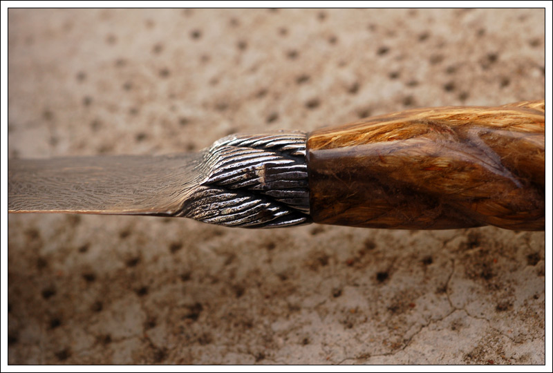 Integral Cable Damascus Criollo Knife with Rope Handle