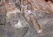 Tutorials - Making Cable Damascus - No Hammer Marks