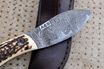 San Mai Damascus Nessmuk Project