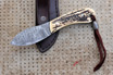 San Mai Damascus Nessmuk Project