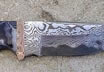 Semi Stainless San Mai Fighter
