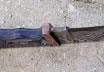 Semi Stainless San Mai Fighter