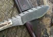 Cable and Stag Recurve Clip Point