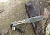 Cable and Stag Recurve Clip Point